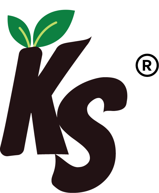 Kesariya Spices Neo-Brutalist Logo