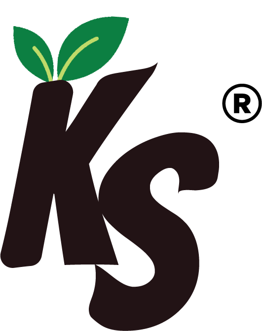 Kesariya Spices Neo-Brutalist Logo